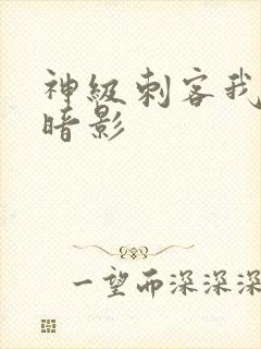 神级刺客我即是暗影