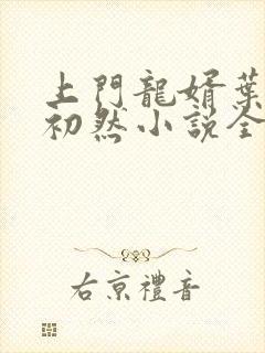 上门龙婿叶辰萧初然小说全集免费