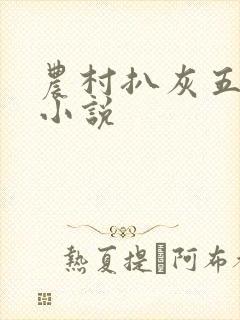 农村扒灰五十篇小说封面