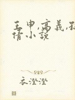 王申,高义,孙倩小说封面