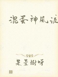 混蛋神风流记