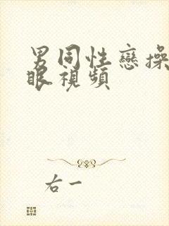 男同性恋操屁股眼视频