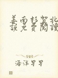 姜南杉贺北铮小说免费阅读最新章节