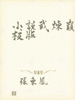 小说武炼巅峰精校版封面