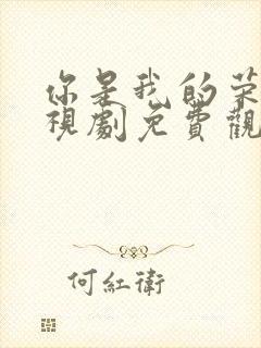 你是我的荣耀电视剧免费观看全集在线播放