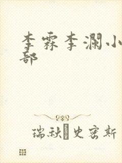 李霖李澜小说全部