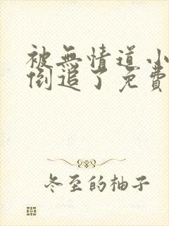 被无情道小师弟倒追了免费阅读笔趣阁