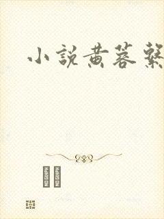小说黄蓉系列