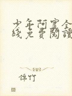 少年阿宾全文在线免费阅读封面