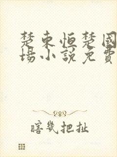 楚东恒楚国威官场小说免费阅读