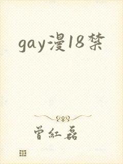 gay漫18禁
