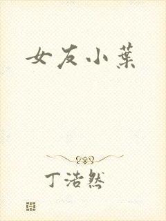 女友小叶