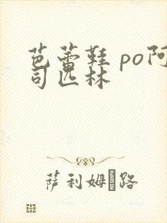 芭蕾鞋 po阿司匹林封面