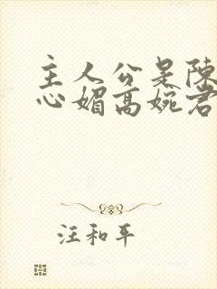 主人公是陈斌赵心媚高婉君小说