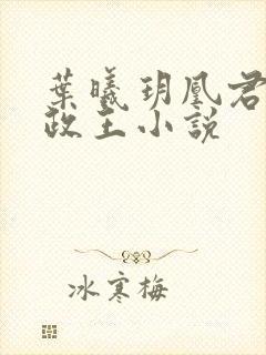 叶曦玥凰君夜摄政王小说