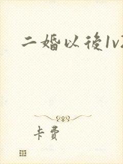 二婚以后1v2