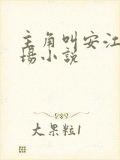 主角叫安江的官场小说封面