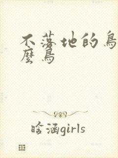 不落地的鸟是什么鸟