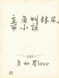 主角叫林风的都市小说