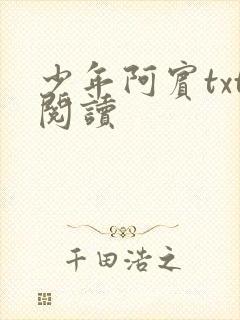 少年阿宾txt阅读封面