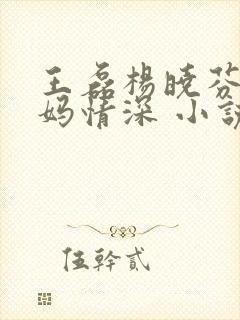 王磊杨晓芬 后妈情深 小说