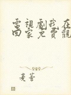 电视剧我在等你回家免费观看全集高清封面