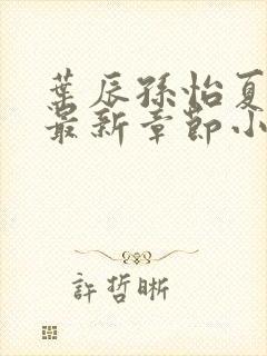 叶辰孙怡夏若雪最新章节小说封面