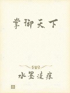 掌御天下封面