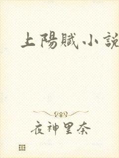 上阳赋小说封面