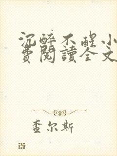 沉醉不醒小说免费阅读全文无弹窗