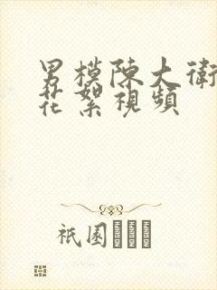 男模陈大卫拍摄花絮视频