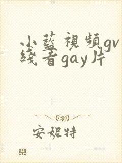 小蓝视频gv在线看gay片