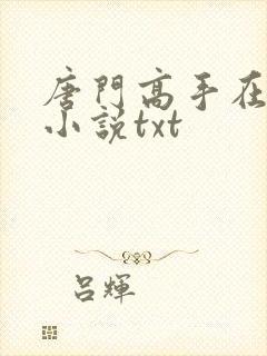 唐门高手在异世小说txt封面