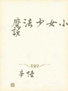 魔法少女小圆小说