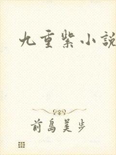 九重紫小说