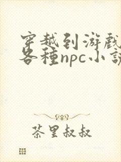 穿越到游戏里和各种npc小说