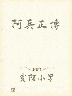 阿兵正传封面