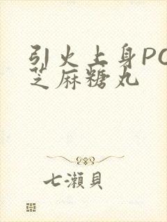 引火上身POP芝麻糖丸