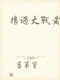 杨过大战黄蓉封面