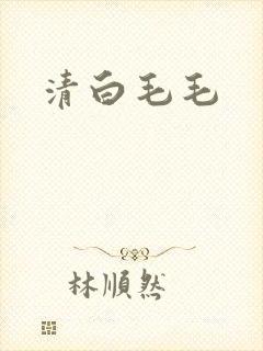 清白毛毛