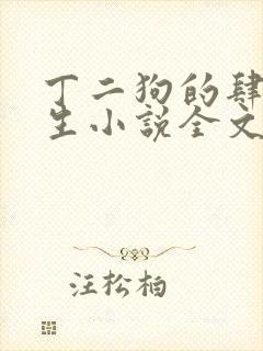 丁二狗的肆意人生小说全文阅读