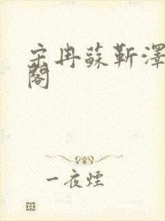 宋冉苏靳泽笔趣阁