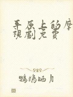 平原上的摩西电视剧免费