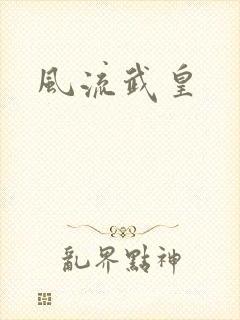 风流武皇封面