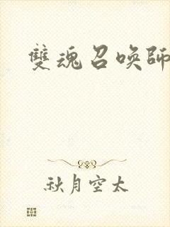 双魂召唤师封面