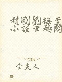 赵刚刘梅李晓雅小说笔趣阁