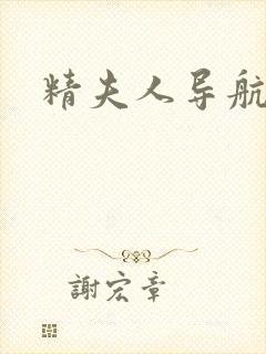 精夫人导航封面