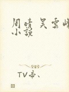 周晴 吴云峰 小说