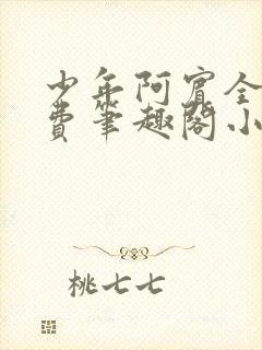 少年阿宾全文免费笔趣阁小说封面