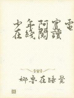 少年阿宾电子书在线阅读